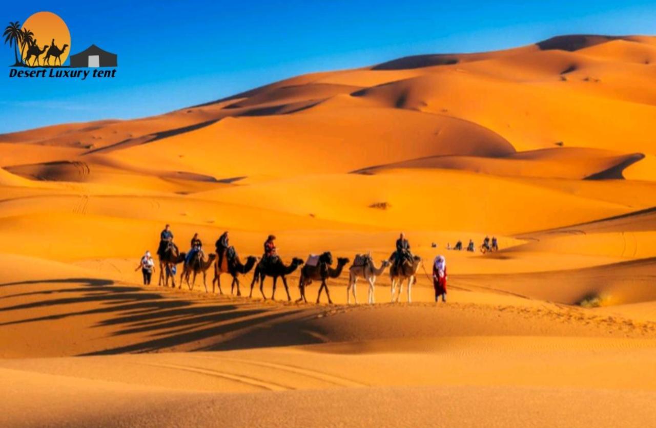 Desert Berber Camp メルズーガ エクステリア 写真